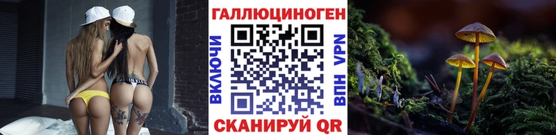 Псилоцибиновые грибы Cubensis Чёрмоз
